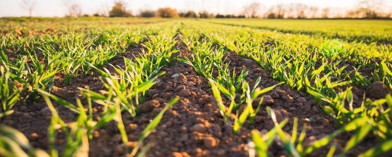 मातीत मुरलंय किती पाणी? आता मोजता येईल!