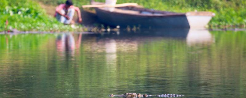 Studying human-wildlife interactions: Why we need to look beyond conflict