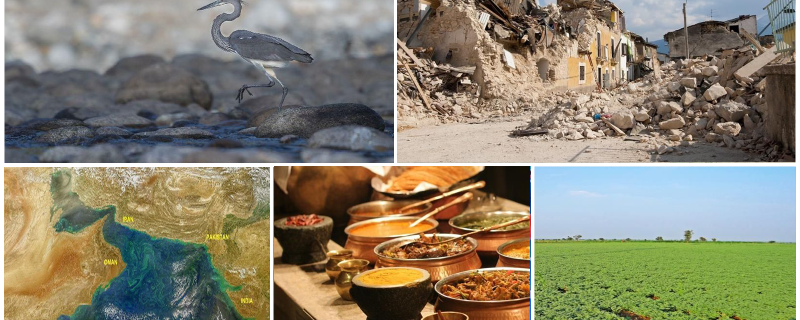 2020இல் ரிசர்ச் மேட்டர்சு வெளியிட்ட பிரபலமான தமிழ் கட்டுரைகள்