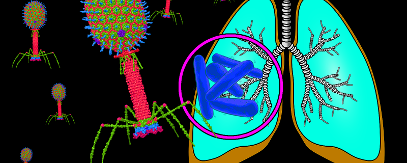 Using viruses to kill Tuberculosis bacteria