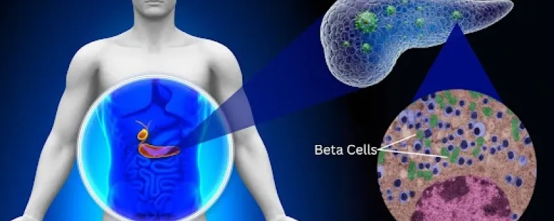 कोलाजेन मुळे टाईप-२ मधुमेह बळावू शकतो असे अभ्यास दर्शवतो