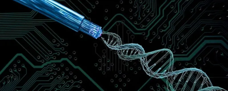 Researchers study how electrons move in DNA strands for electronic applications 