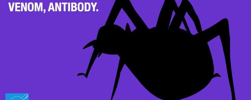 Cartoon : Balraj K N / Research Matters