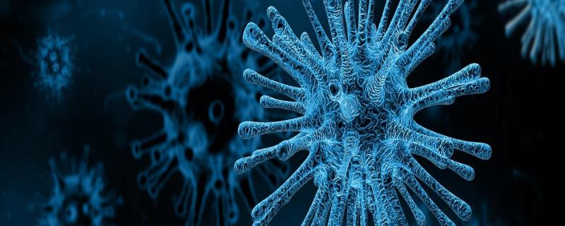 Designing drugs for the deadly Nipah virus