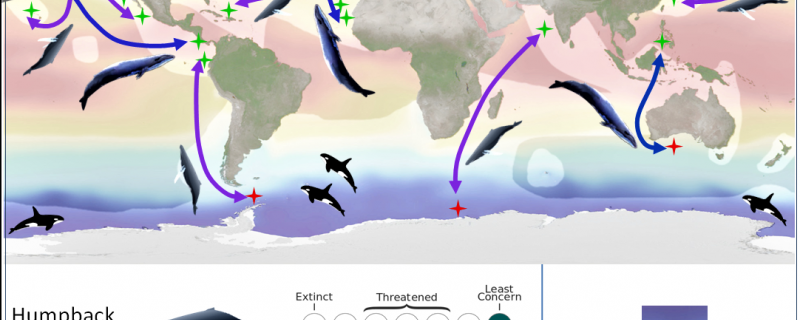 Infographic : Chethana Casiker